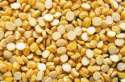 indian bengalgram split dal - product's photo