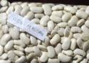 white kidney beans - product's photo