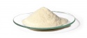 probiotics vigiis101-lab - product's photo